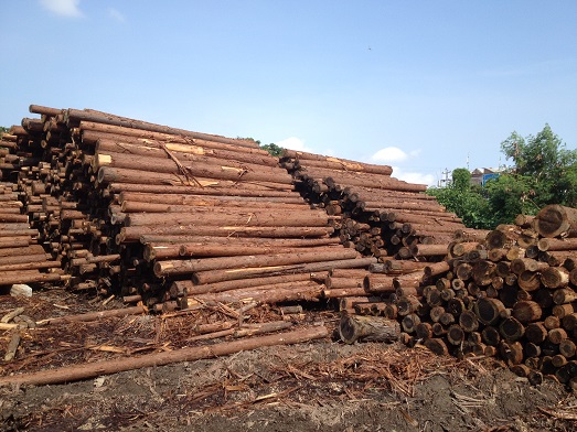 �S���h��4